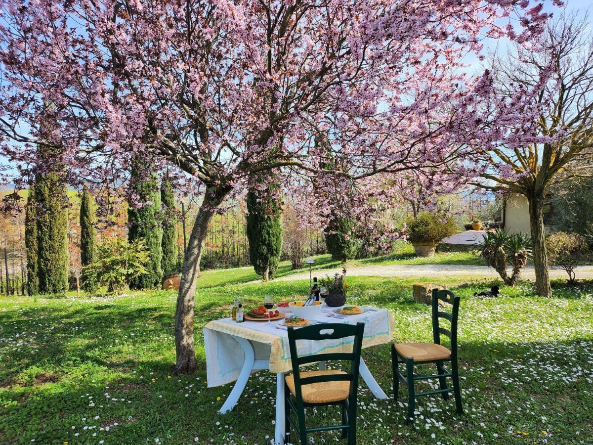 Agriturismo Lucertola بمونتيكاتيني فال دي سيسينا المظهر الخارجي الصورة